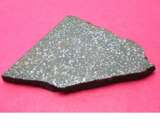 Nwa 4488 Meteorite: 45.  2 Gram Polished Slice