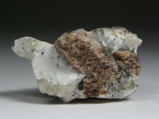 Kentbrooksite - Rare Mineral From Mont Saint - Hilaire Offer Applies