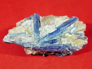 A Big 100 Natural Blue Kyanite Crystal Cluster In Quartz From Brazil 264gr