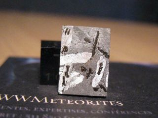 Meteorite Canyon Diablo (from " Meteor/barringer Crater " Arizona) - Etched Slice