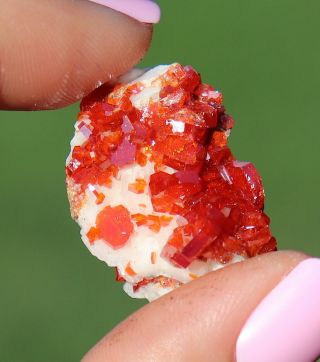 Lustrous Cherry Red Vanadinite Crystals Sprinkled On White Barite From Morocco