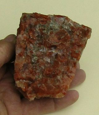 Large Mineral Specimen Of Potash Ore From Carlsbad,  Mexico