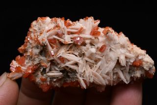 50g Natural Vanadinite Barite Crystal Cluster Rare Mineral Specimen Morocco