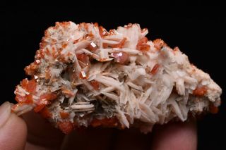 50g Natural Vanadinite Barite Crystal Cluster Rare mineral specimen Morocco 2