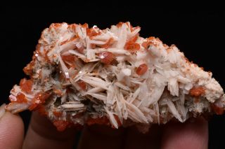 50g Natural Vanadinite Barite Crystal Cluster Rare mineral specimen Morocco 3