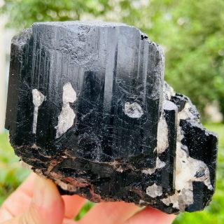460g Natural Black Tourmaline Quartz Crystal Cluster Mineral Specimen Fcc528