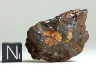 Meteorite Sericho - Pallasite Individual 33.  0g Olivine Crystals