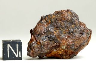 Meteorite SERICHO - Pallasite Individual 33.  0g Olivine crystals 2