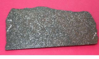 Nwa 4488 Meteorite: 52.  6 Gram Polished Slice