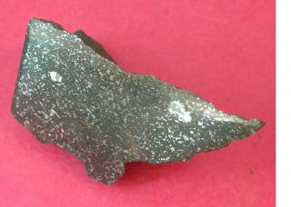 Nwa 4488 Meteorite: 52.  5 Gram Polished Corner Cut