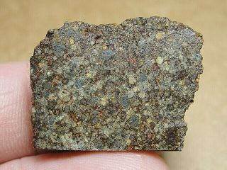 Nwa 11291 Official Meteorite - Ll3 - W2 - G637 - 0191 - 8.  70g - Great End Cut
