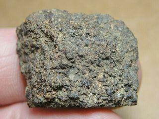 NWA 11291 Official Meteorite - LL3 - W2 - G637 - 0191 - 8.  70g - Great End Cut 2
