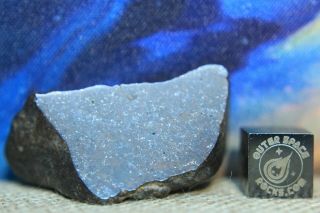 Nwa Unclassified Meteorite 25 Gram Desert Polished Windowed Individual