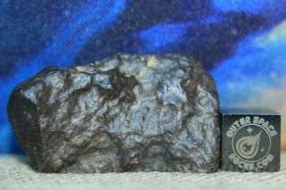 NWA Unclassified Meteorite 25 gram desert polished windowed individual 2