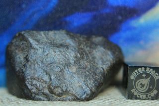 NWA Unclassified Meteorite 25 gram desert polished windowed individual 3