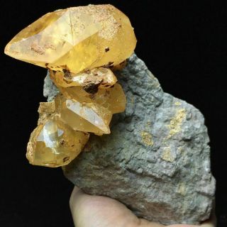 486g Rare Transparent Golden Yellow Dog Tooth Calcite Crystal Mineral Specimen