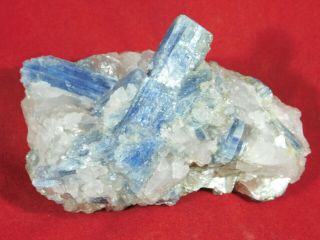 A Big 100 Natural Blue Kyanite Crystal Cluster In Quartz From Brazil 195gr