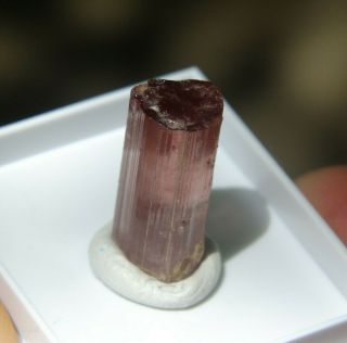 Gem Quality Pink Tourmaline Crystal (elbaite),  15 Cts In Display Box.
