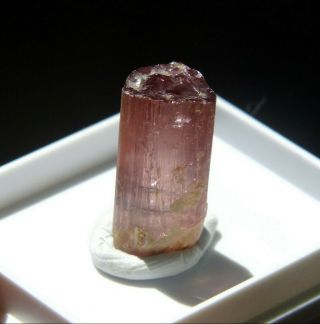 Gem quality Pink Tourmaline Crystal (Elbaite),  15 cts in display box. 2
