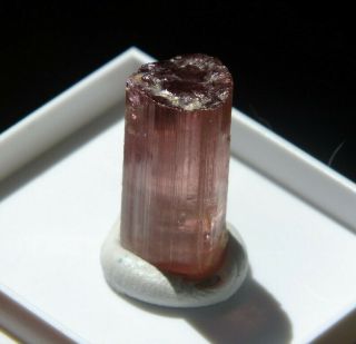 Gem quality Pink Tourmaline Crystal (Elbaite),  15 cts in display box. 3