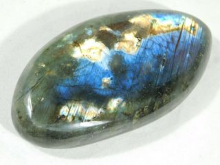 A Bright Flash on this Larger Polished Spectralite Labradorite PEBBLE 167gr 2
