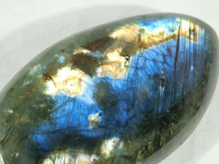 A Bright Flash on this Larger Polished Spectralite Labradorite PEBBLE 167gr 3