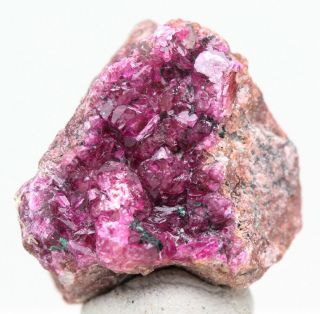 Pink Cobaltoan Calcite Druzy Crystal Cluster Mineral Specimen Cobalto Congo Gem