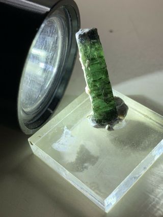 Maine Tourmaline Crystal