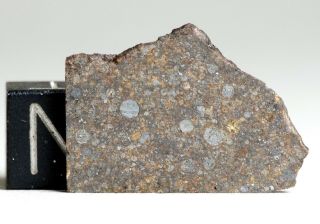 Meteorite Nwa 11038 - L3 (s2/w2) Chondrite - Chondrule Rich Slice