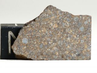 Meteorite NWA 11038 - L3 (S2/W2) Chondrite - chondrule rich Slice 2