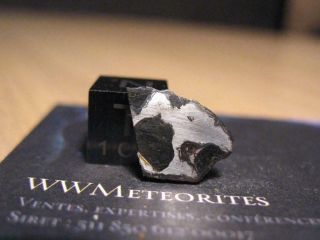 Meteorite Nwa 10023 - Pallasite (anomalous - Plessitic)