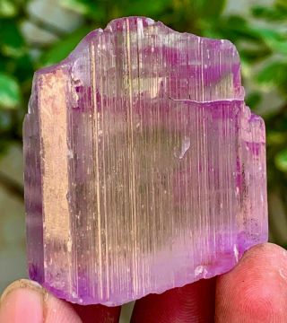 350 C.  T 100 Natural Unheated Damage Deep Pink Gemmy Kunzite Etched Crystal