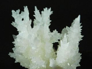 A 100 Natural Bright White Aragonite Crystal Cluster With A Stand 124gr