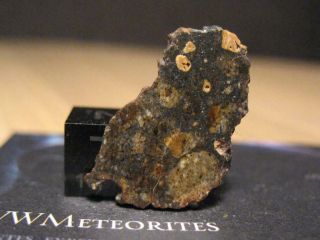 Meteorite Nwa 8261,  Eucrite Breccia With Autolithic Clasts