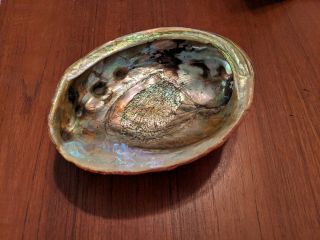 Collectible Vintage Abalone Shell Trinket Dish Bowl Ash Tray Mid Century Lucite