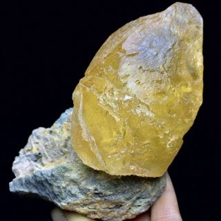 317g Rare Transparent Golden Yellow Dog Tooth Calcite Crystal Mineral Specimen