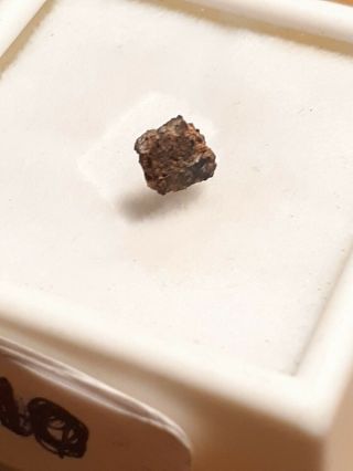 . 10 Grams Official Martian Meteorite Swayyah 002 From Mars
