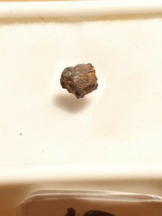 . 10 Grams Official Martian Meteorite Swayyah 002 From Mars 2