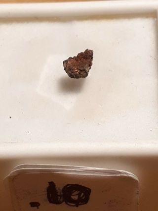 . 10 Grams Official Martian Meteorite Swayyah 002 From Mars 3