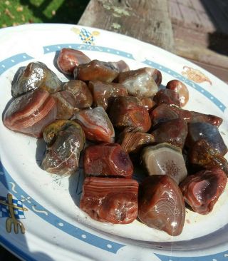 Lake Superior Agate 1.  5 Lbs Top Of The Line Banders.  Premiums.  View