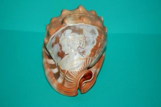 Vintage Carved Conch Helmet Shell Cameo Lady Vanity Bath Beach Decorative Art