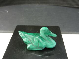 Carved Polychrome Malachite Figural Seagull Green White Swirls Polished 1 3/4 " L