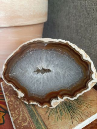 Agate Geode With Polished Face 3.  5 Inches