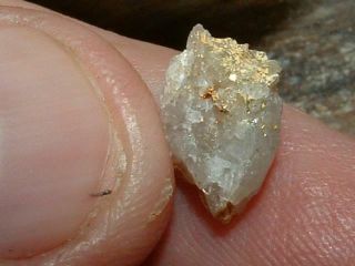 Nevada Gold Quartz Specimen.  69 Gram Gold Nugget Native Gold In Quartz