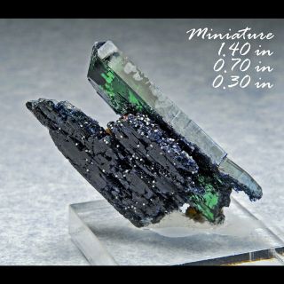 Vivianite / Siderite Bolivia Minerals Crystals Gems - Min