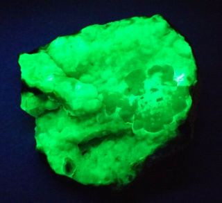 Brightly Fluorescent (green Sw - Uv) Hyalite Over Common Opal,  Del Norte,  Co M32