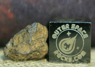 Barnstable H4 Chondrite Meteorite 0.  7g frag from Massachusetts found 4/6/2019 2