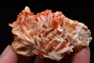 67g Natural Vanadinite Barite Crystal Cluster Rare Mineral Specimen Morocco