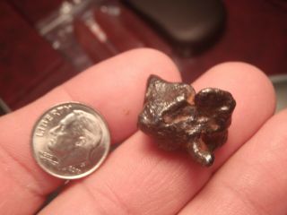 Meteorite: Canyon Diablo,  Iron Coarse Octahedrite Arizona 14.  3 Gr 13/16 " L