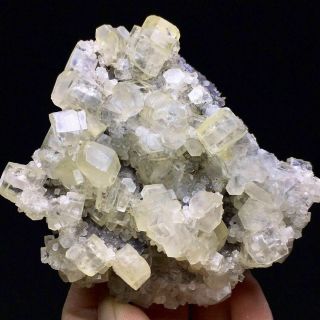 112g Rare Complete Transparent Pentagon Calcite Crystal Cluster Mineral Specimen